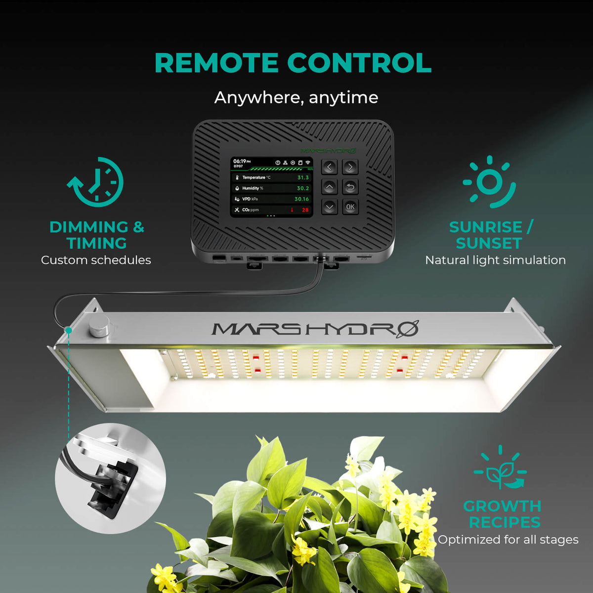 Mars Hydro TS600 – Drehdimmer am Treiber, stufenlos einstellbar