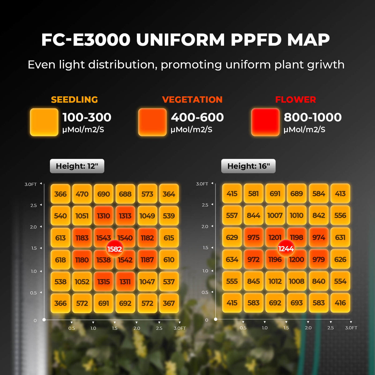 Mars Hydro FC-E3000 PPFD-Karte – gleichmäßige Lichtverteilung auf 100x100 cm