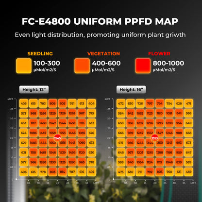 Mars Hydro FC-E4800 PPFD-Karte – gleichmäßige Lichtverteilung auf 120x120 cm