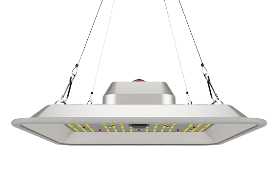 Greenception GC-PURE 80 Watt – Leuchte mit Aufhängung