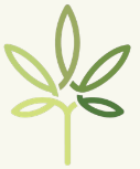 Simple Grow logo