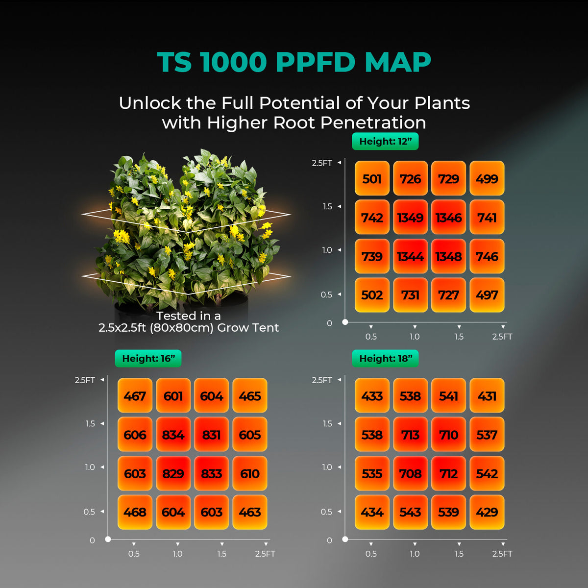 Mars Hydro TS1000 PPFD-Karte – Lichtverteilung auf 60×60 cm